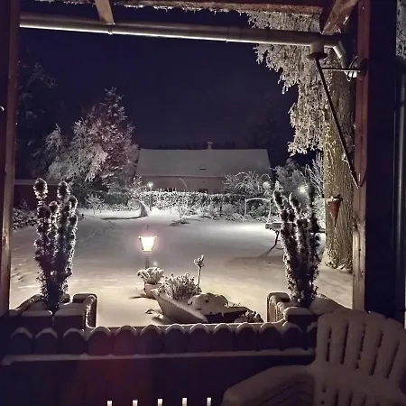 Novy Den *