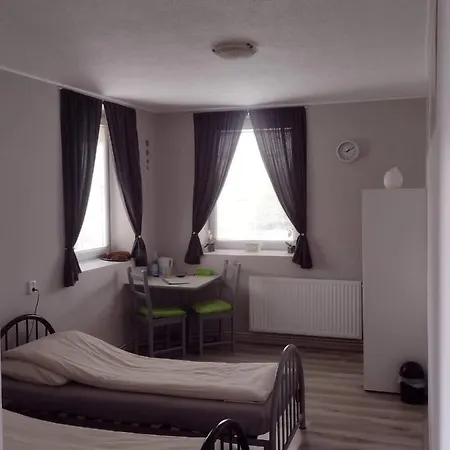 Novy Den Apartment *