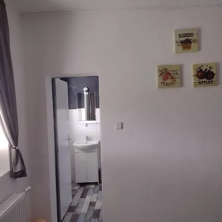 Novy Den
