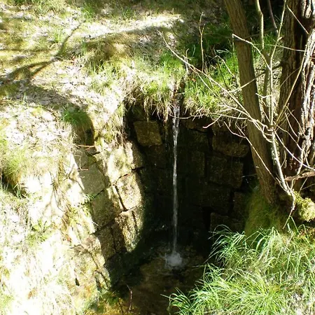 Novy Den *