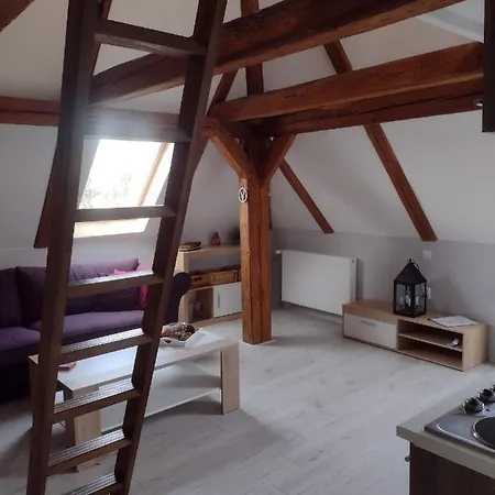Apartment Novy Den Albrechtice (Liberec)