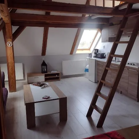 Apartment Novy Den *