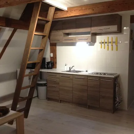 Novy Den Apartment *
