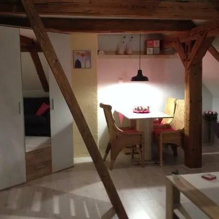 Novy Den Apartment *