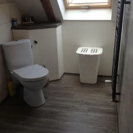 Novy Den Apartment