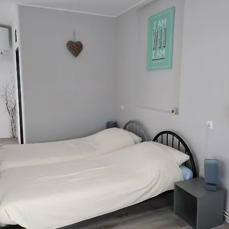Novy Den Apartment *